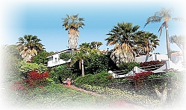 La Palma Jardin