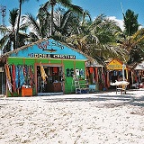 Domrep