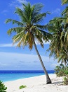 guenstig urlaub buchen